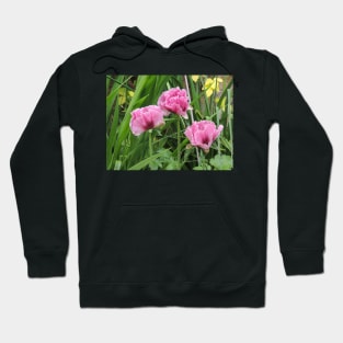 The Three Garden Graces Hoodie